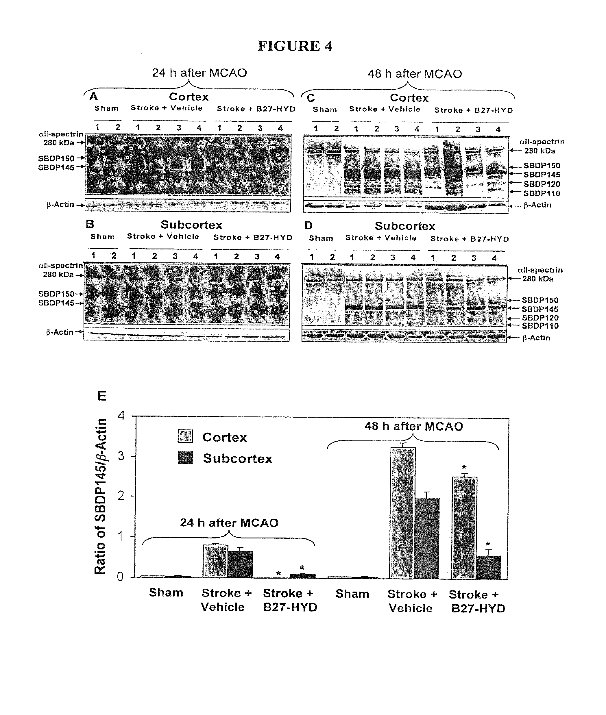 Methods, systems, and compositions for calpain inhibition