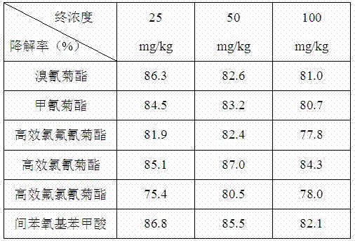 Pyrethroid pesticide residue degradation bacteria as well as bacteria agent and application