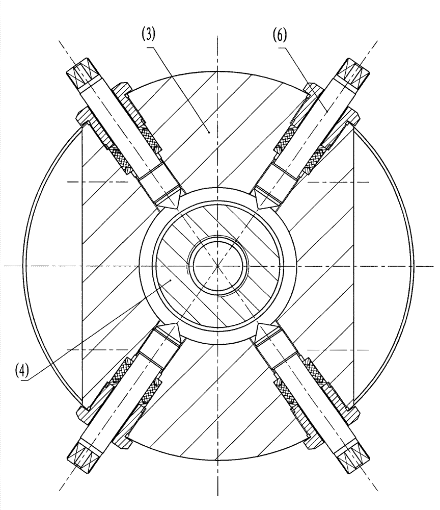 Well head device with combined sealing, double-tube gas injection and remote control