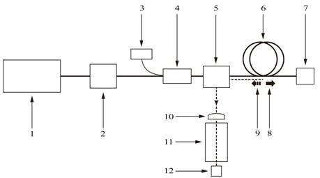 CARS spectrum detection system and method based on line width adjustment