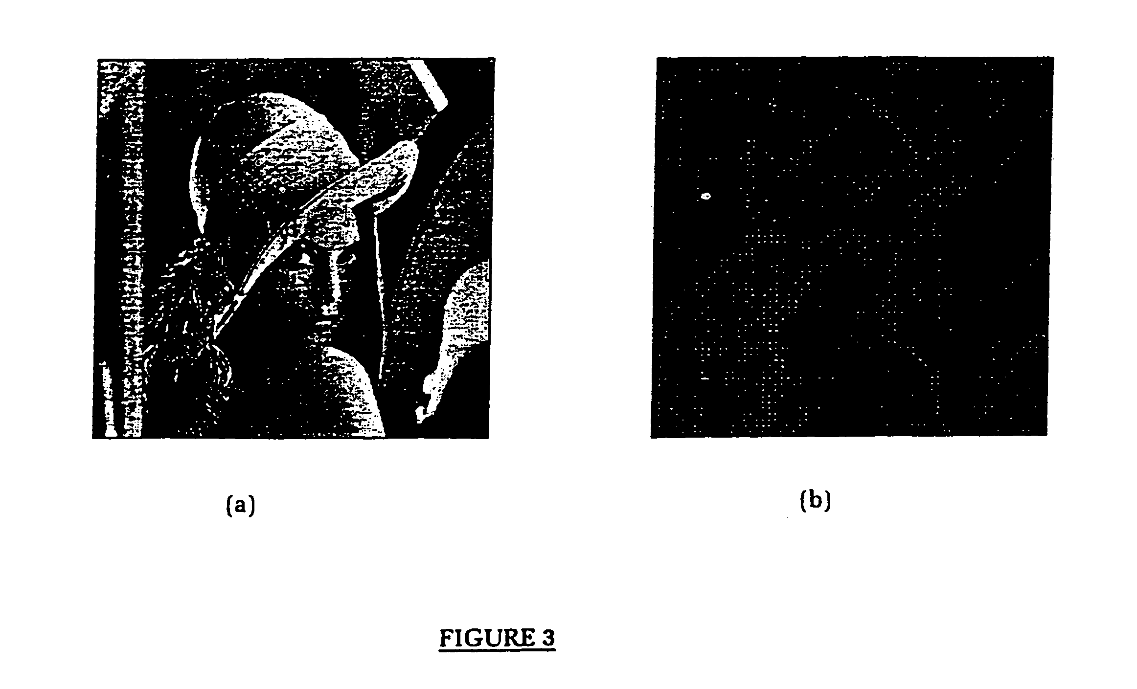 Methods for embedding image, audio and video watermarks in digital data