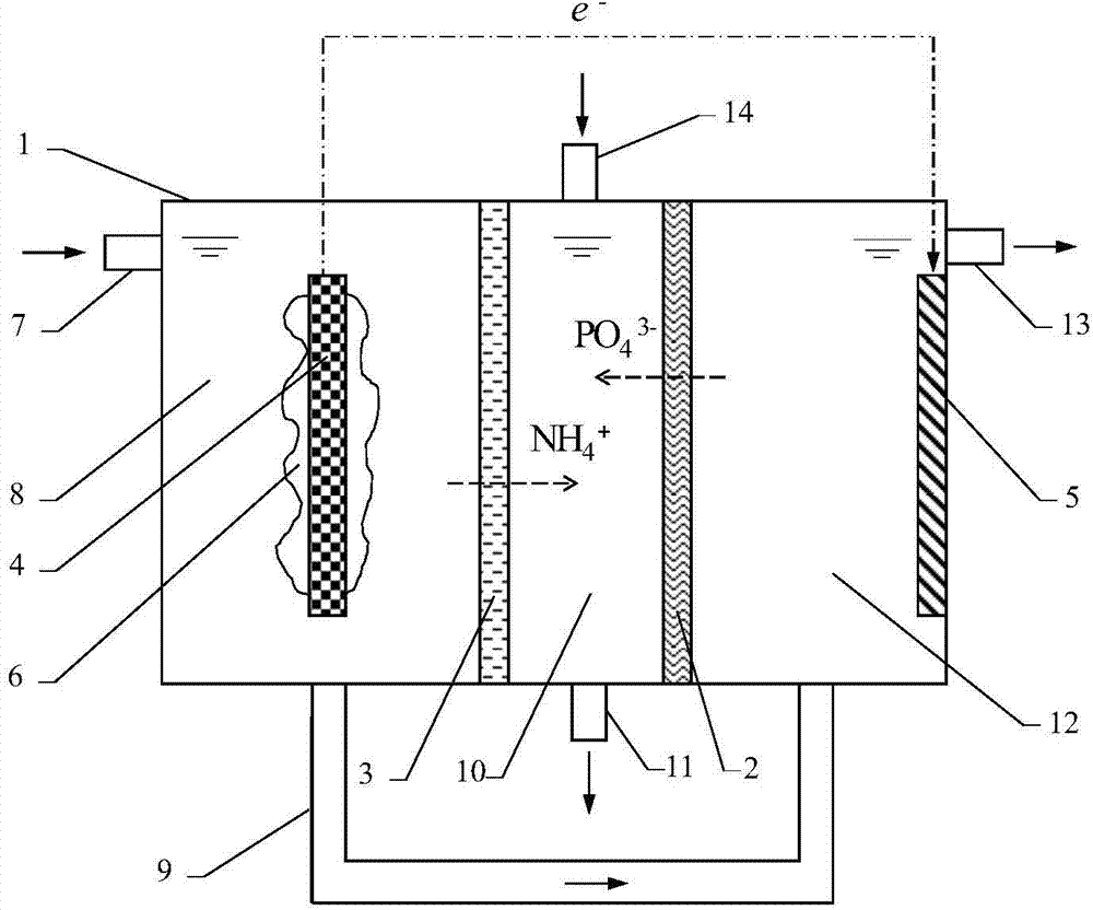 A microbial nitrogen and phosphorus recovery battery reactor for water treatment