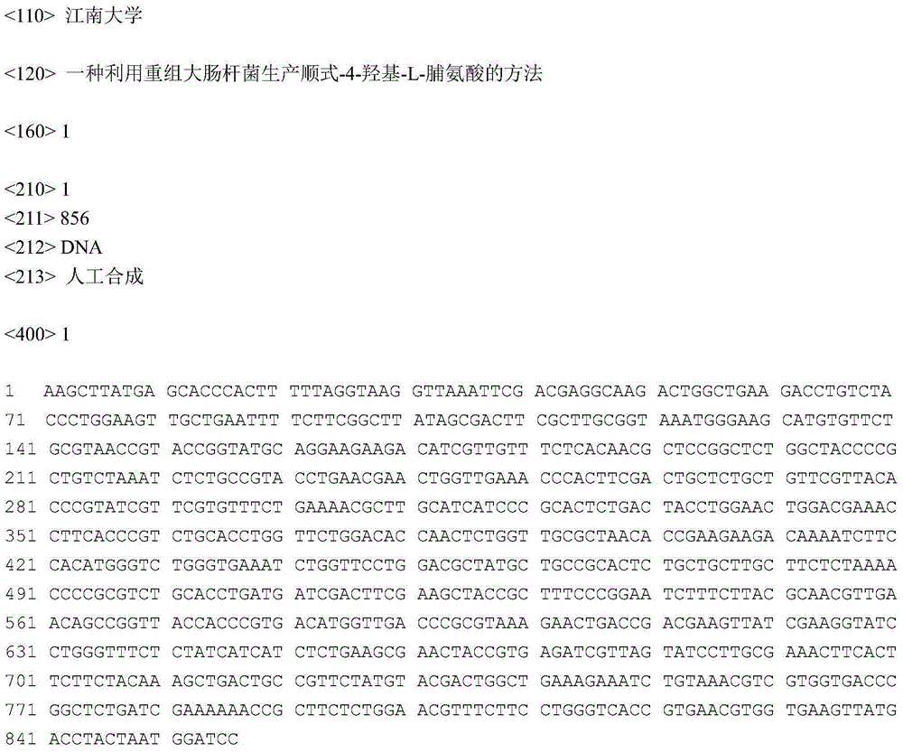 Method for producing cis-4-hydroxy-L-proline through recombinant escherichia coli