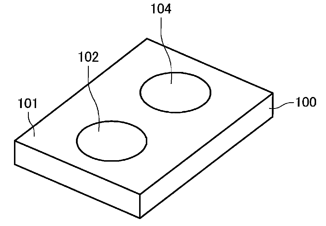 Integrated Circuit Device, Voice Input Device and Information Processing System