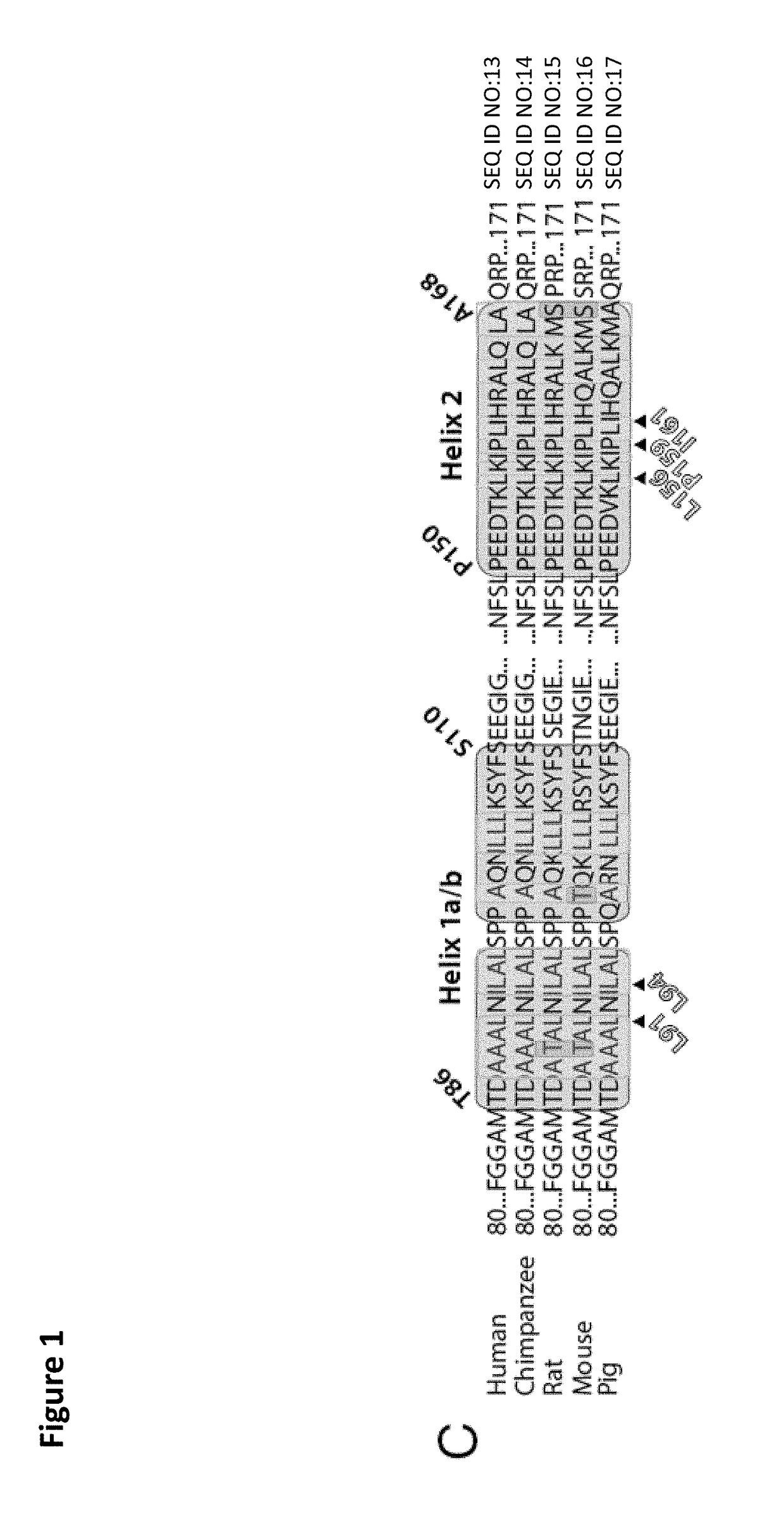 Limp-2 based peptides and related uses