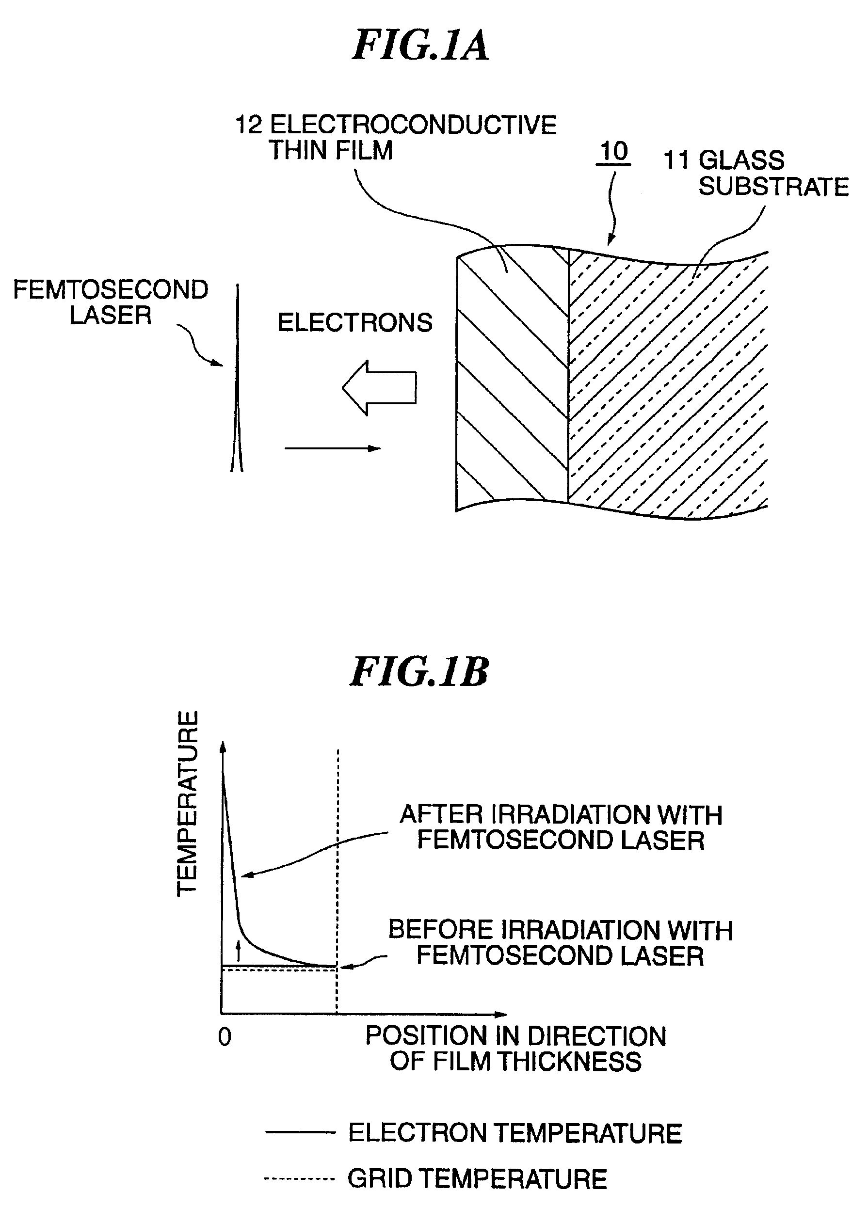 Method for electrodeposited film formation, method for electrode formation, and apparatus for electrodeposited film formation