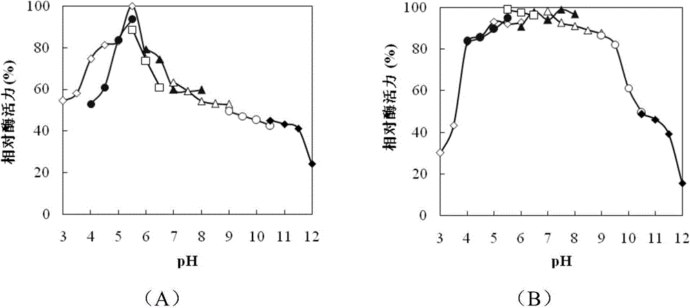 Endochitinase and coding gene and application thereof in production of chitobiose