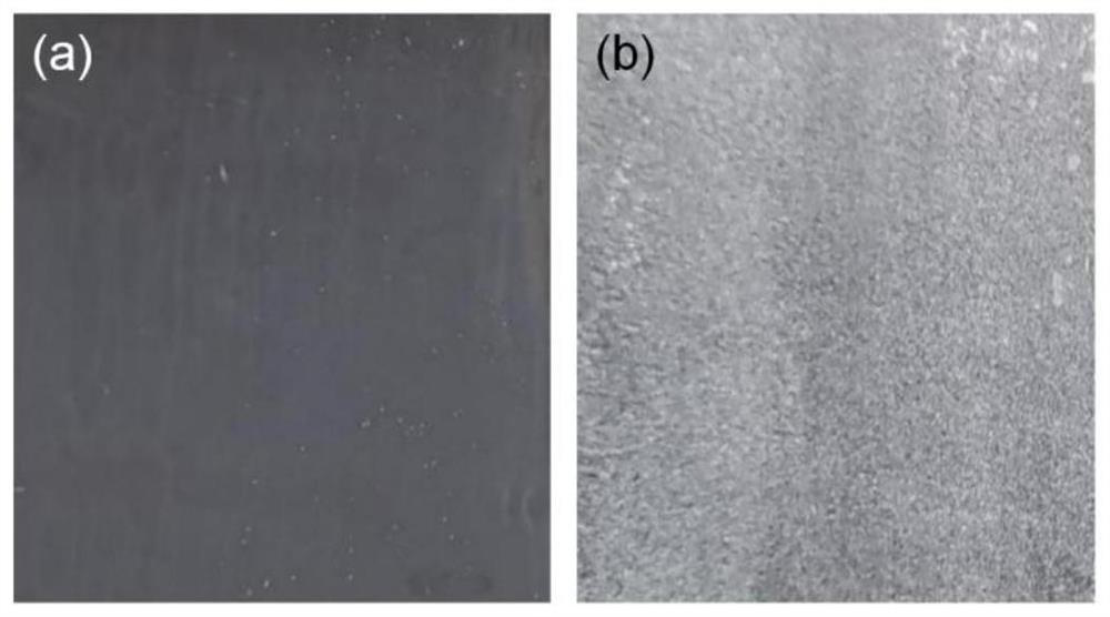 A kind of photocatalytic self-cleaning composite coating and preparation method thereof