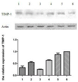 Application of ginsenoside CK and Rh1 and composition thereof in preparation of medicine for improving non-alcoholic fatty hepatic fibrosis and insulin resistance