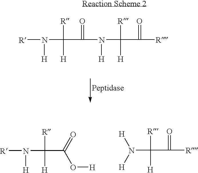 Nucleotide analogues