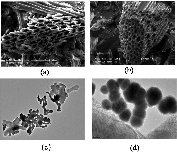A method for improving the efficiency of sludge anaerobic digestion while reducing the ecotoxicity of heavy metals