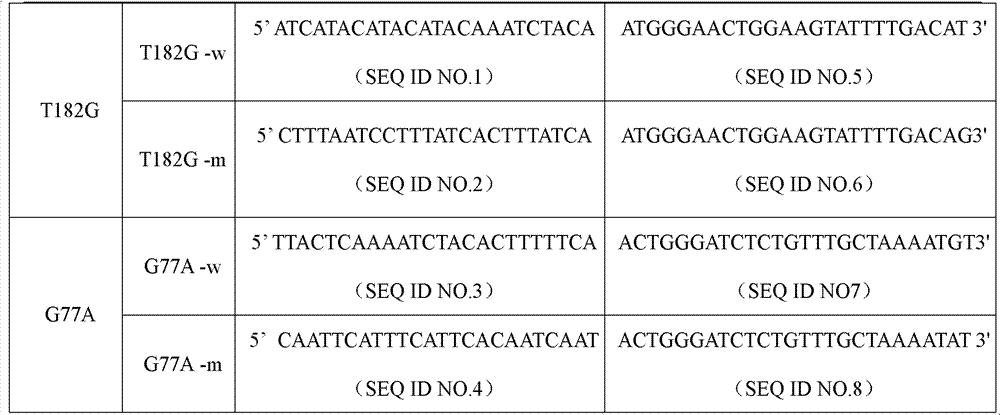 Specific primer and liquid chip for detecting polymorphism of SLCO1B3 gene