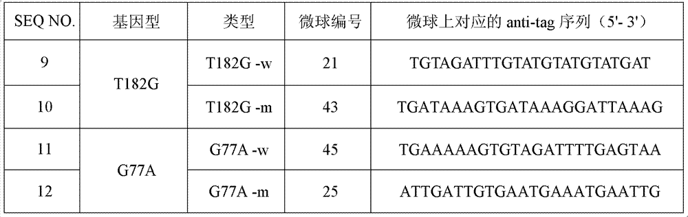 Specific primer and liquid chip for detecting polymorphism of SLCO1B3 gene