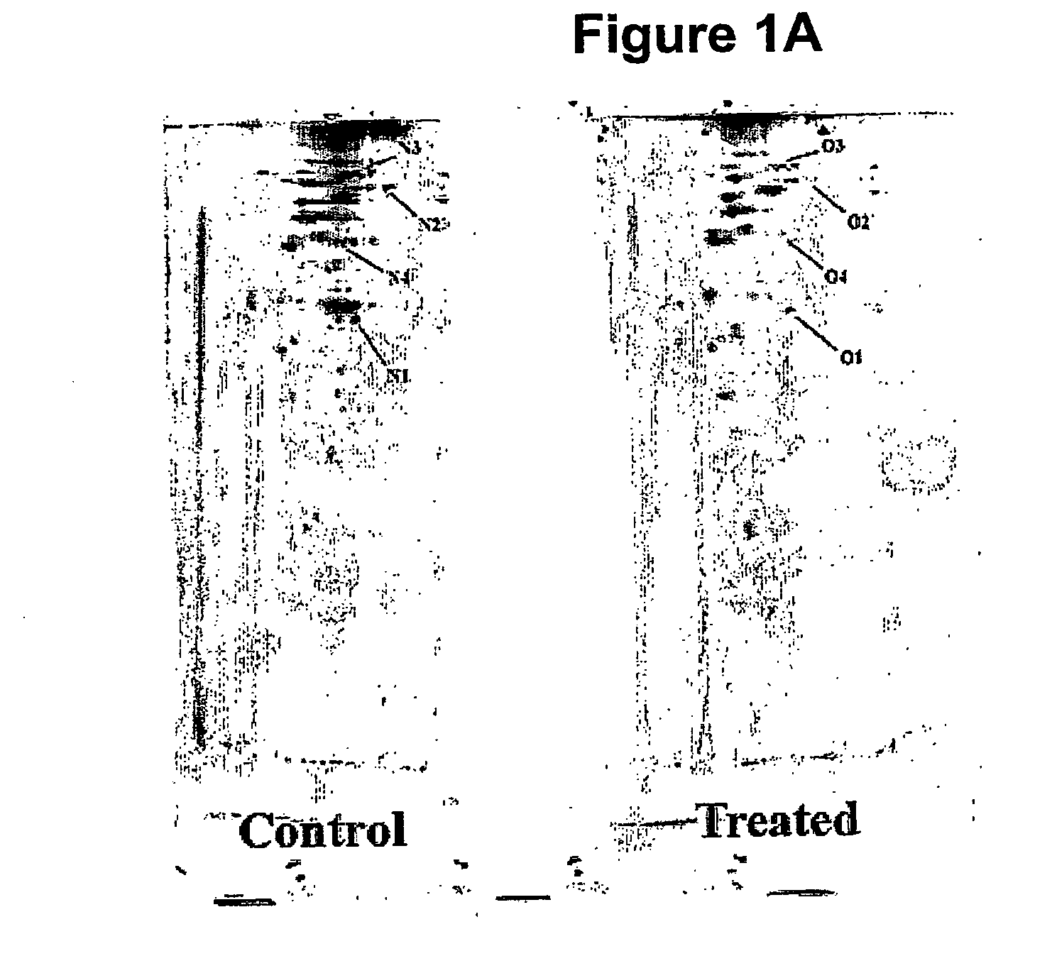 Methods for determining the redox status of proteins