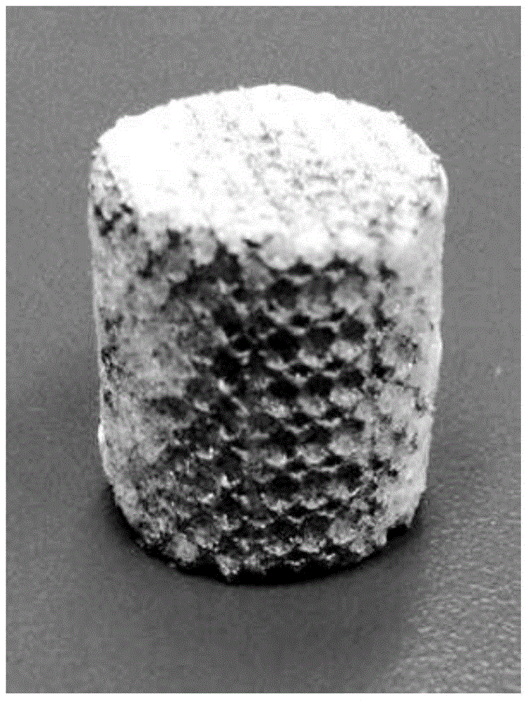 A 3D printed porous metal with bionic three-dimensional micro-stent and its preparation method