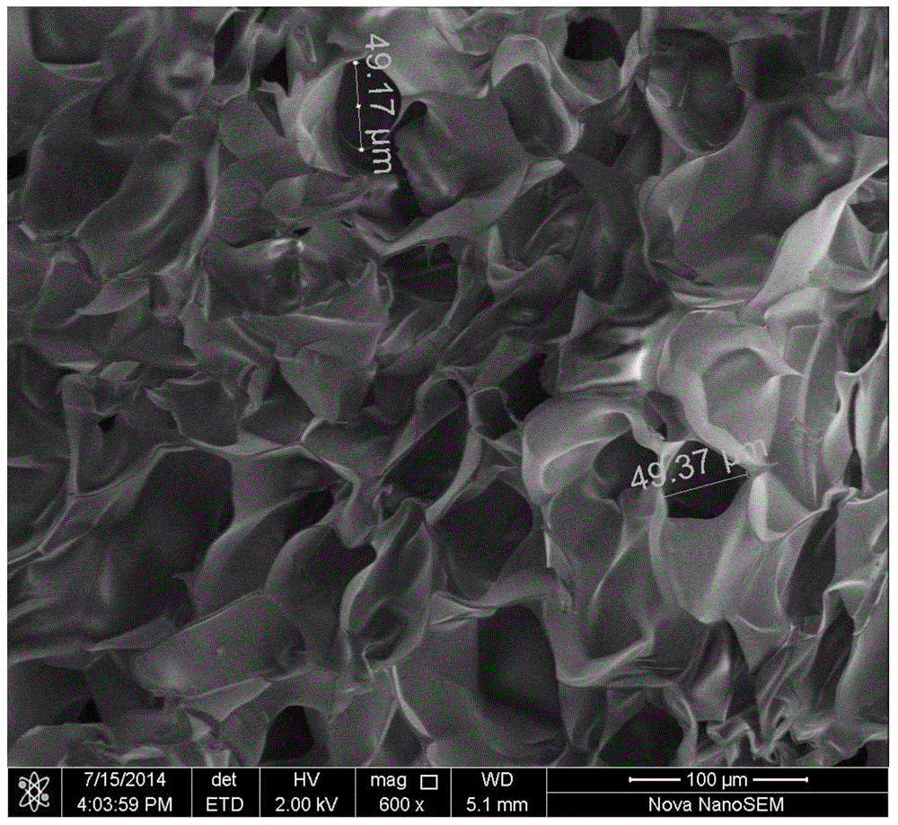 A 3D printed porous metal with bionic three-dimensional micro-stent and its preparation method