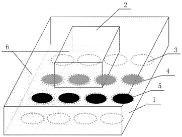 A factory farming lighting system and its application to promote the growth of grouper fry and improve the survival rate
