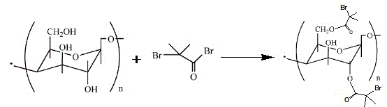 Preparation method of grafted cellulose medicinal molecule with pH/temperature responsiveness