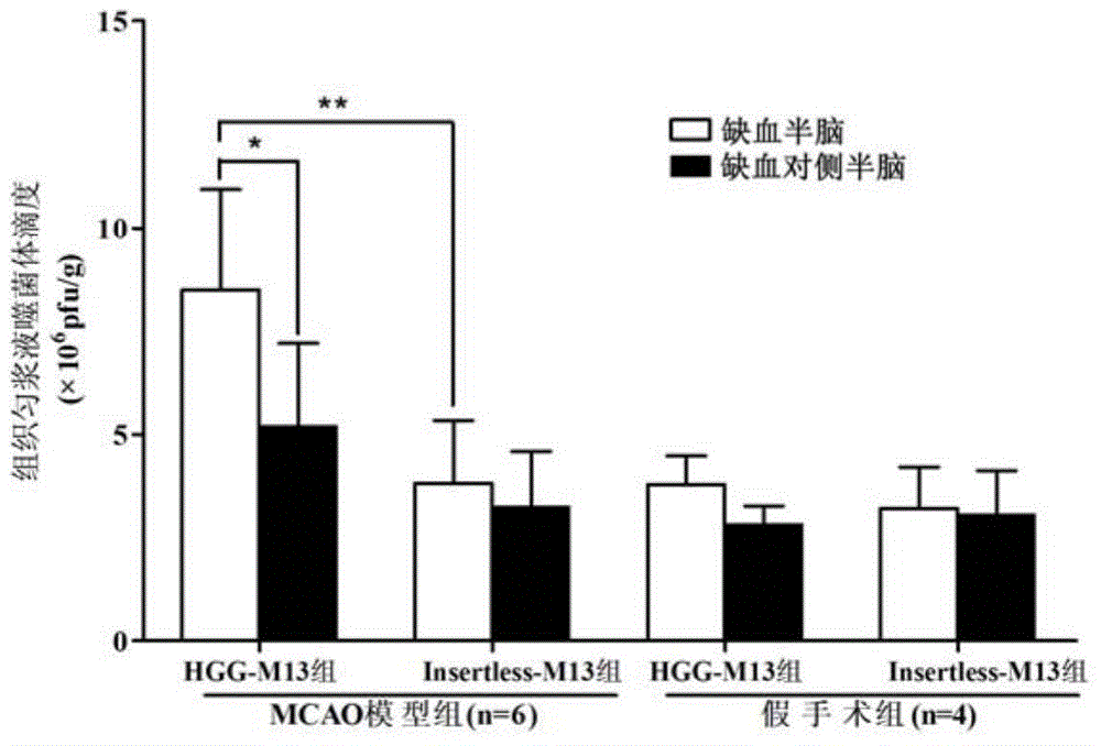 HGG (Human Gammaglobulin) polypeptide in combination with tissue specificity of cerebral arterial thrombosis and application thereof