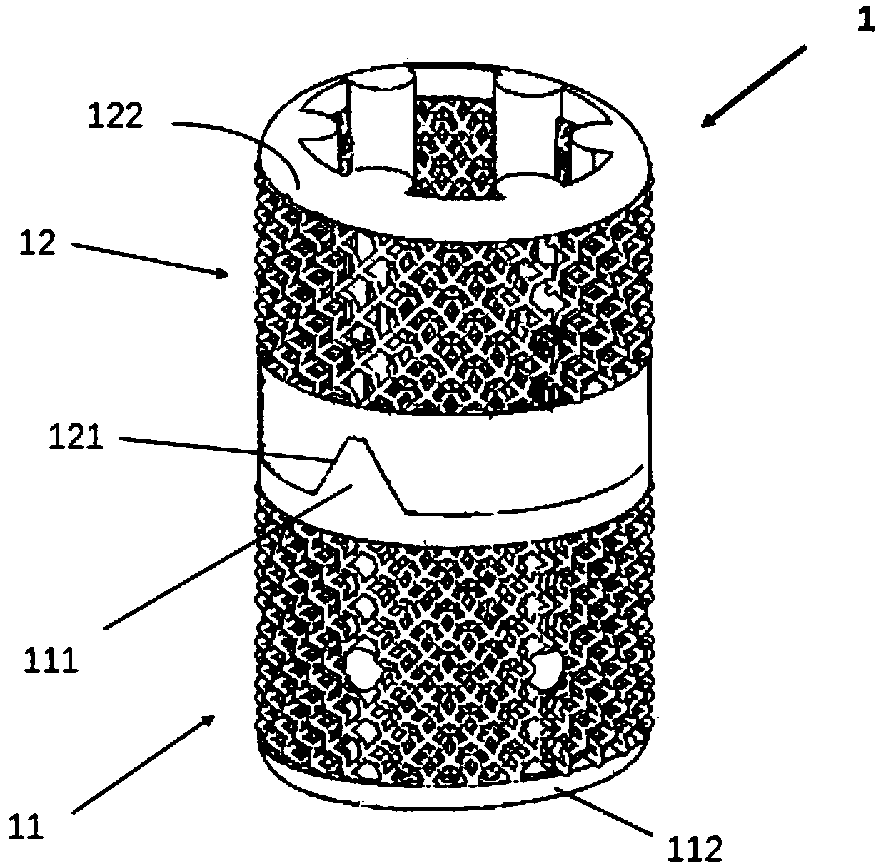 Titanium mesh fusion device for spinal interbody fusion and preparation method thereof