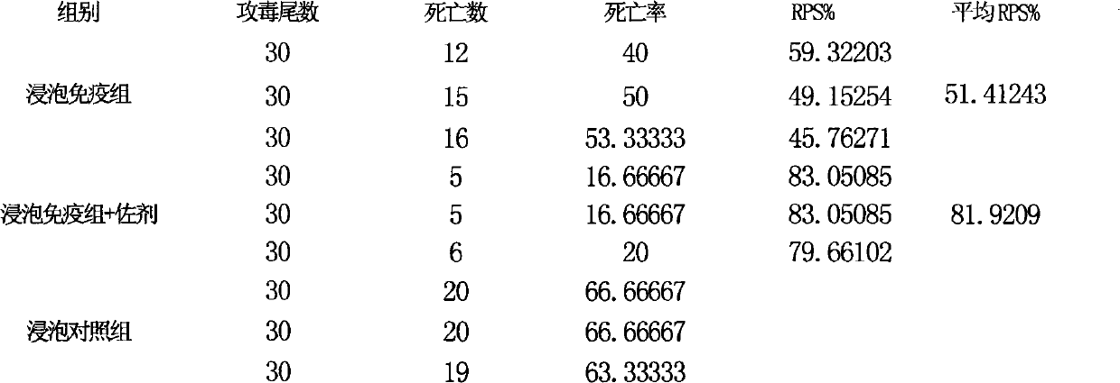 Combined adjuvant for fish soaked vaccine and its application and use method