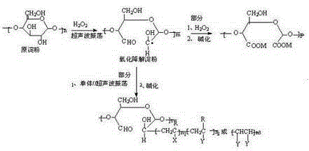 Oxidative degradation starch grafted polycarboxylate water reducer and preparation method thereof