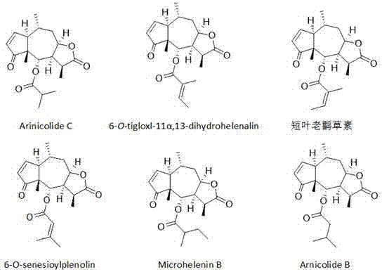 Application of sesquiterpene lactone compounds in the preparation of anti-influenza virus drugs