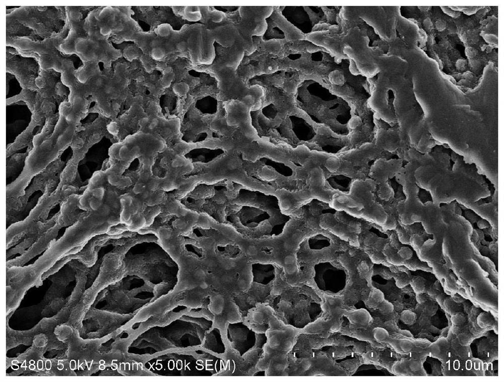 A high-efficiency light-to-heat conversion material with a roll-like structure, its preparation method and application