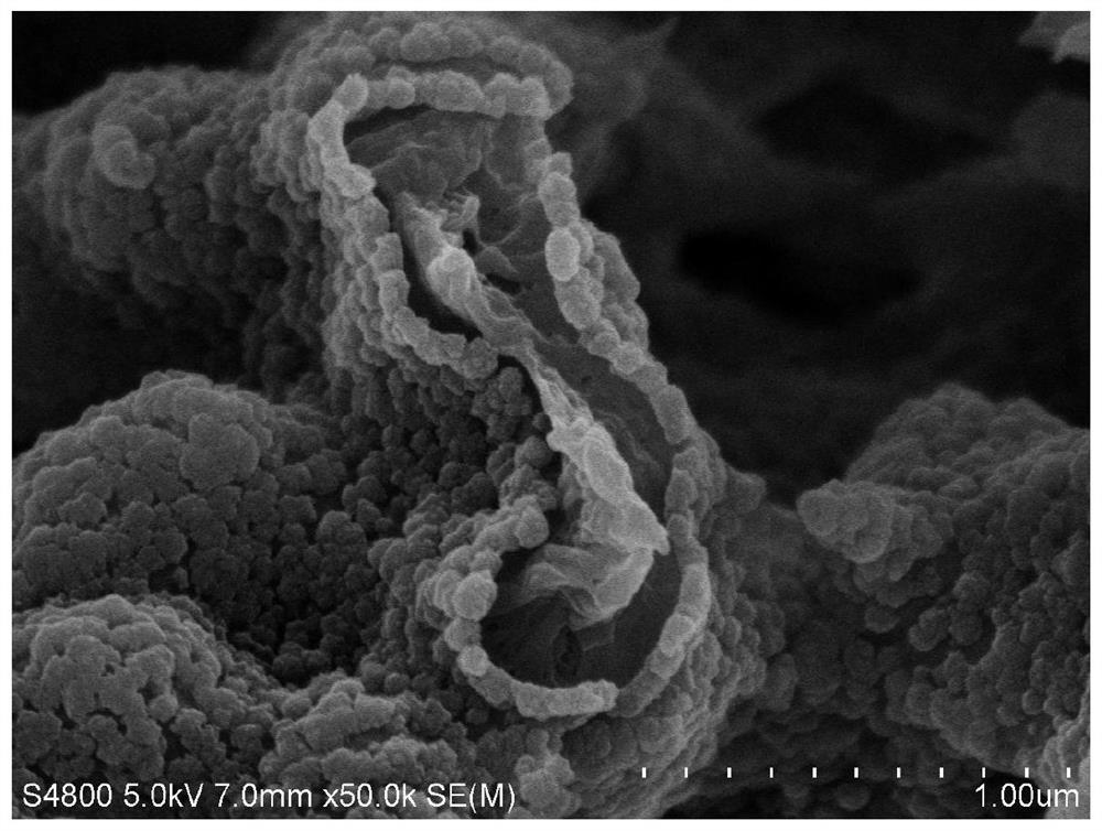 A high-efficiency light-to-heat conversion material with a roll-like structure, its preparation method and application