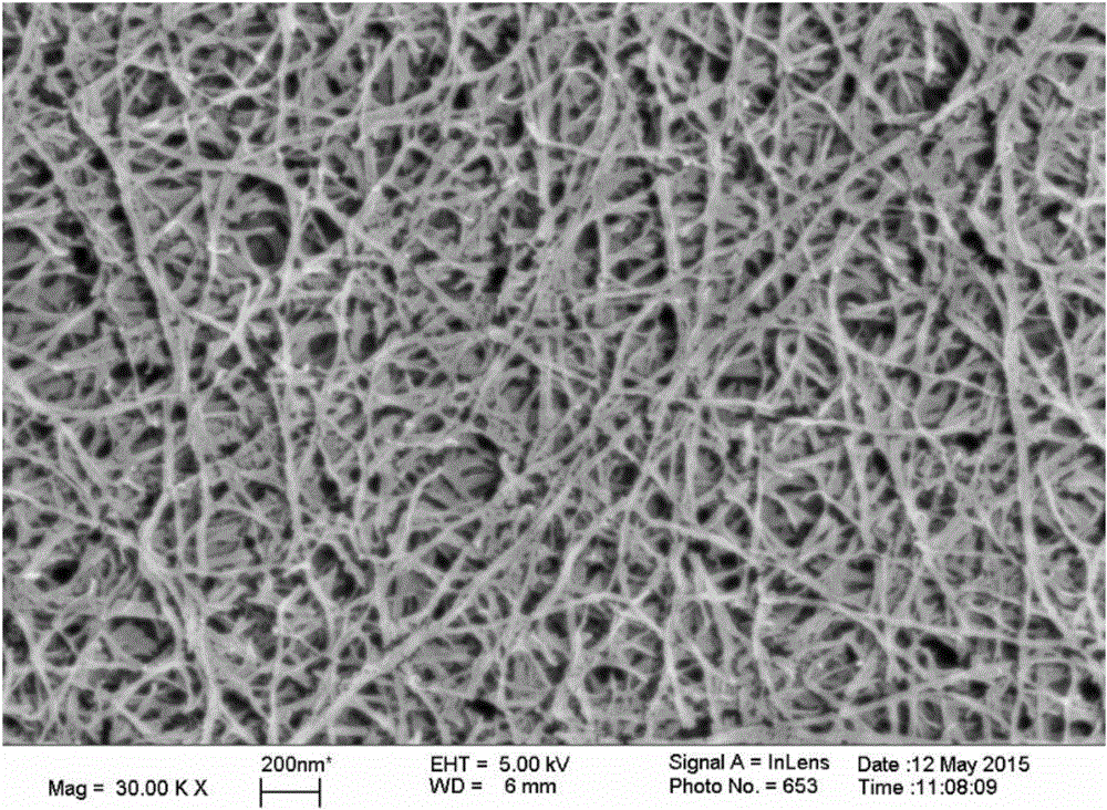Bacterial cellulose as well as pollution-free preparation method and applications of bacterial cellulose