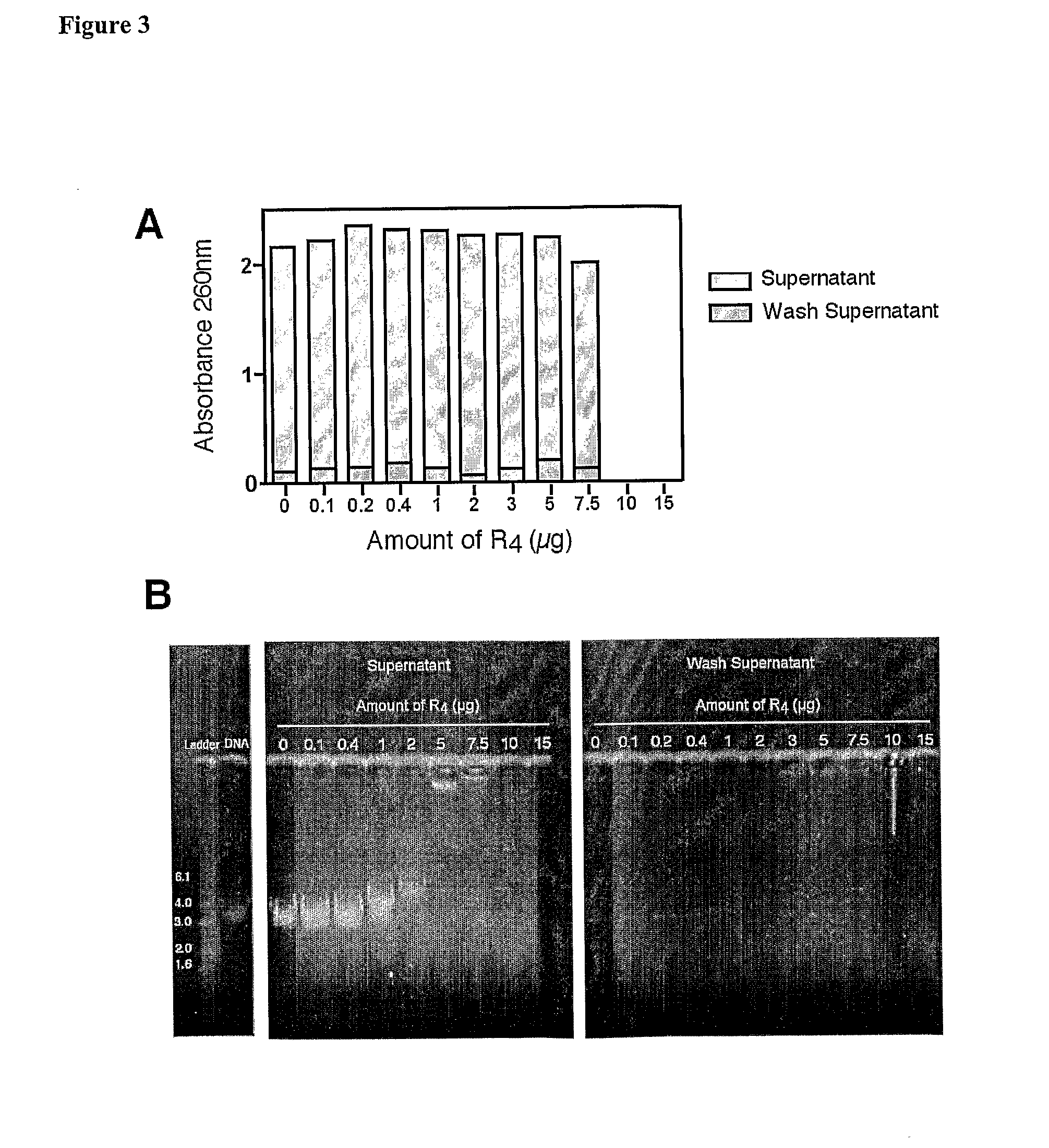 Method of transfection and compositions therefor