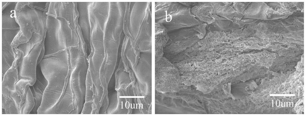 Method for preparing cotton stalk bark microcrystalline cellulose/graphene oxide aerogel fiber