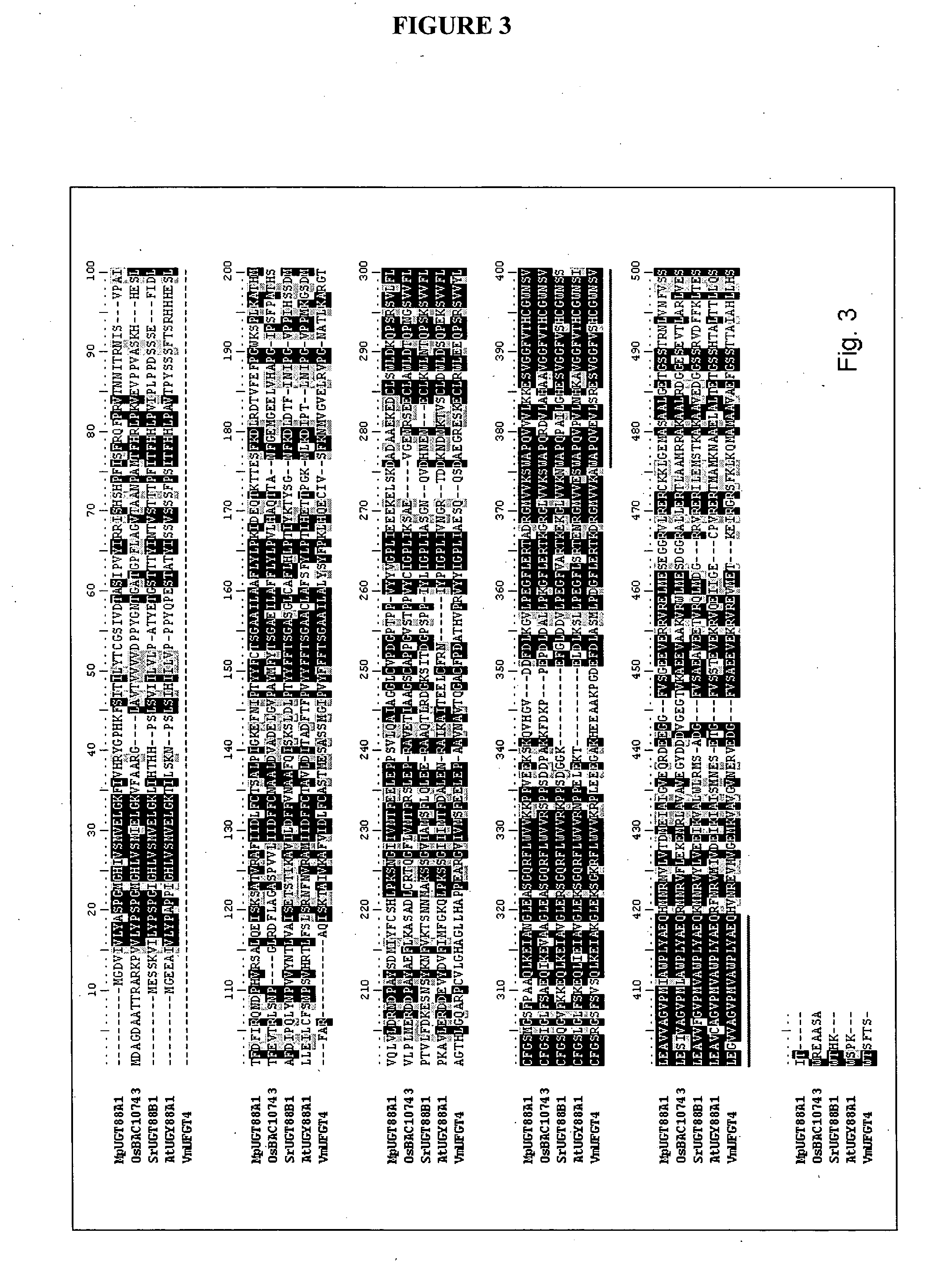 Glycosyltransferases, Polynucleotides Encoding These And Methods Of Use