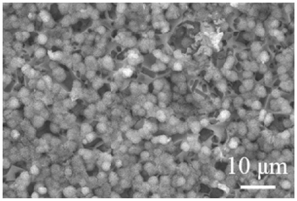 Preparation method and application of a bioceramic scaffold with micro-nano structure on the surface of hollow microspheres