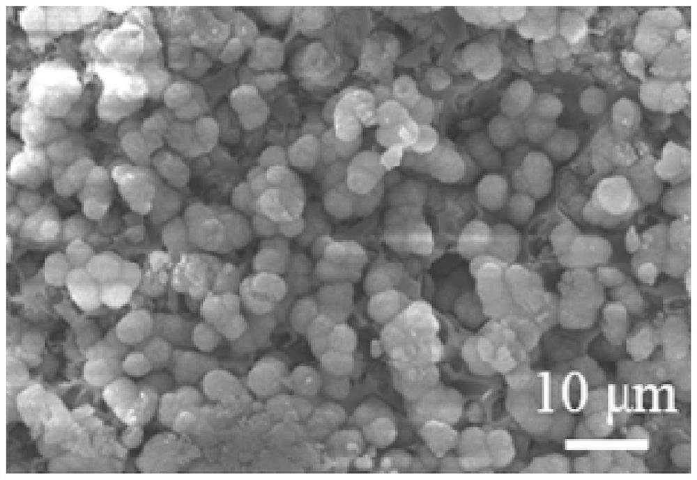 Preparation method and application of a bioceramic scaffold with micro-nano structure on the surface of hollow microspheres