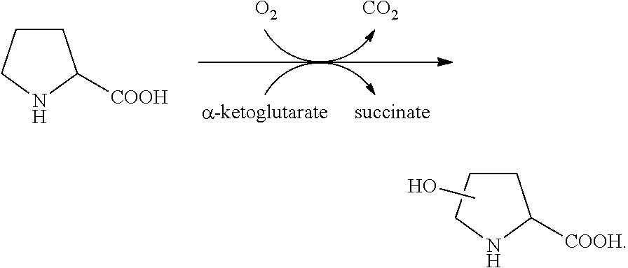 Biocatalysts and methods for hydroxylation of chemical compounds