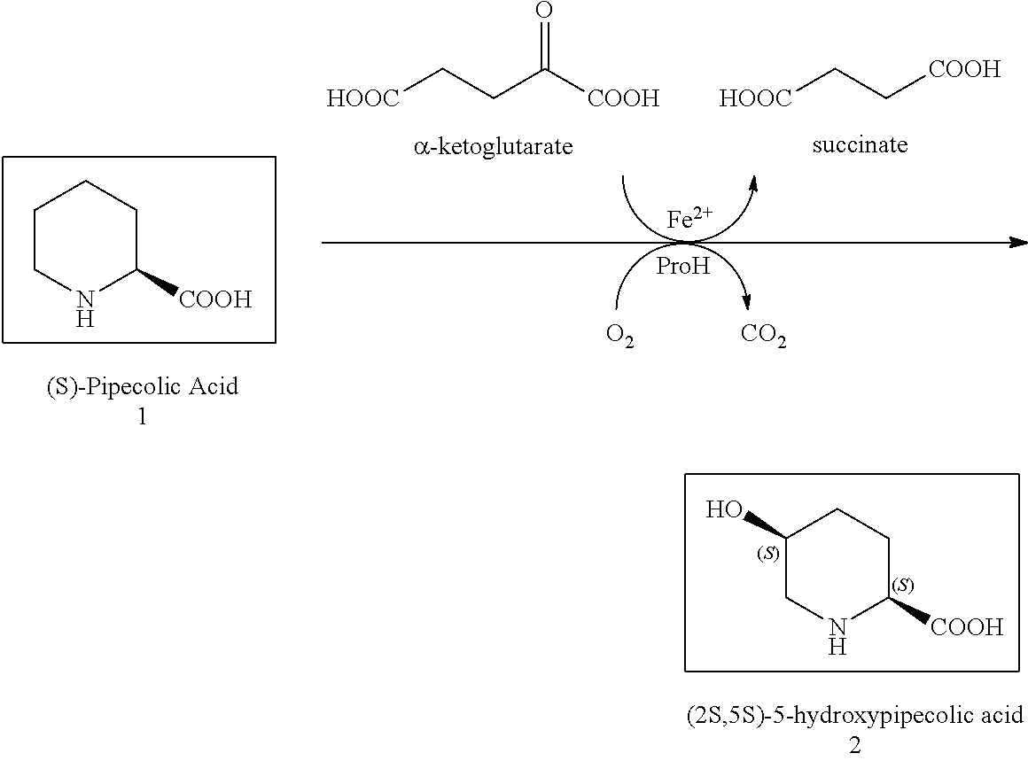 Biocatalysts and methods for hydroxylation of chemical compounds