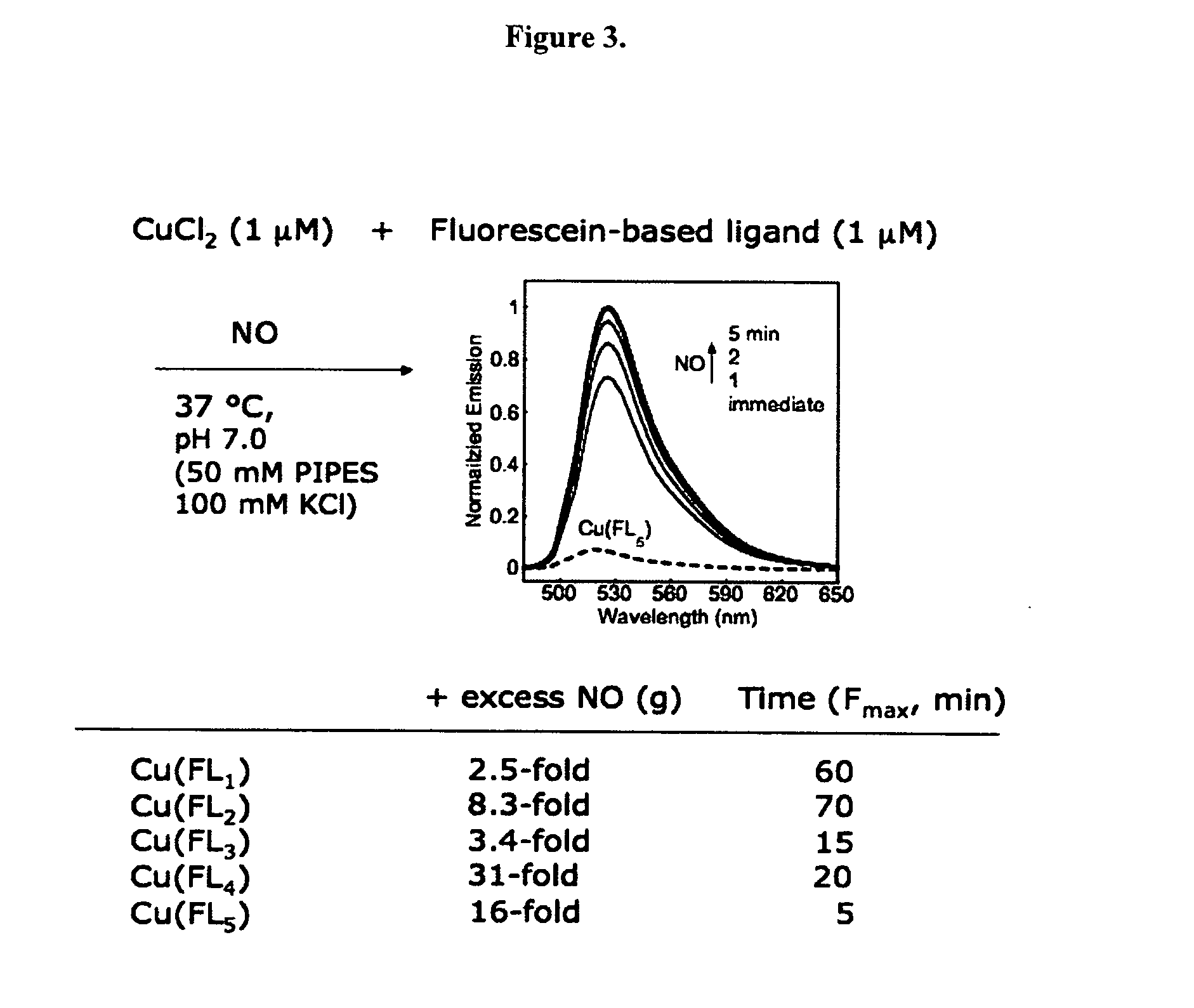 Fluorescein based sensors for tracking nitric oxide in live cells