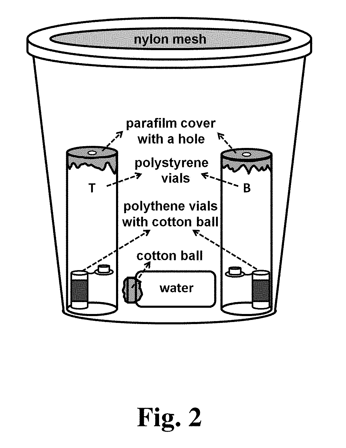 Methods of Attracting Drosophila Suzukii Using Acetoin Blend