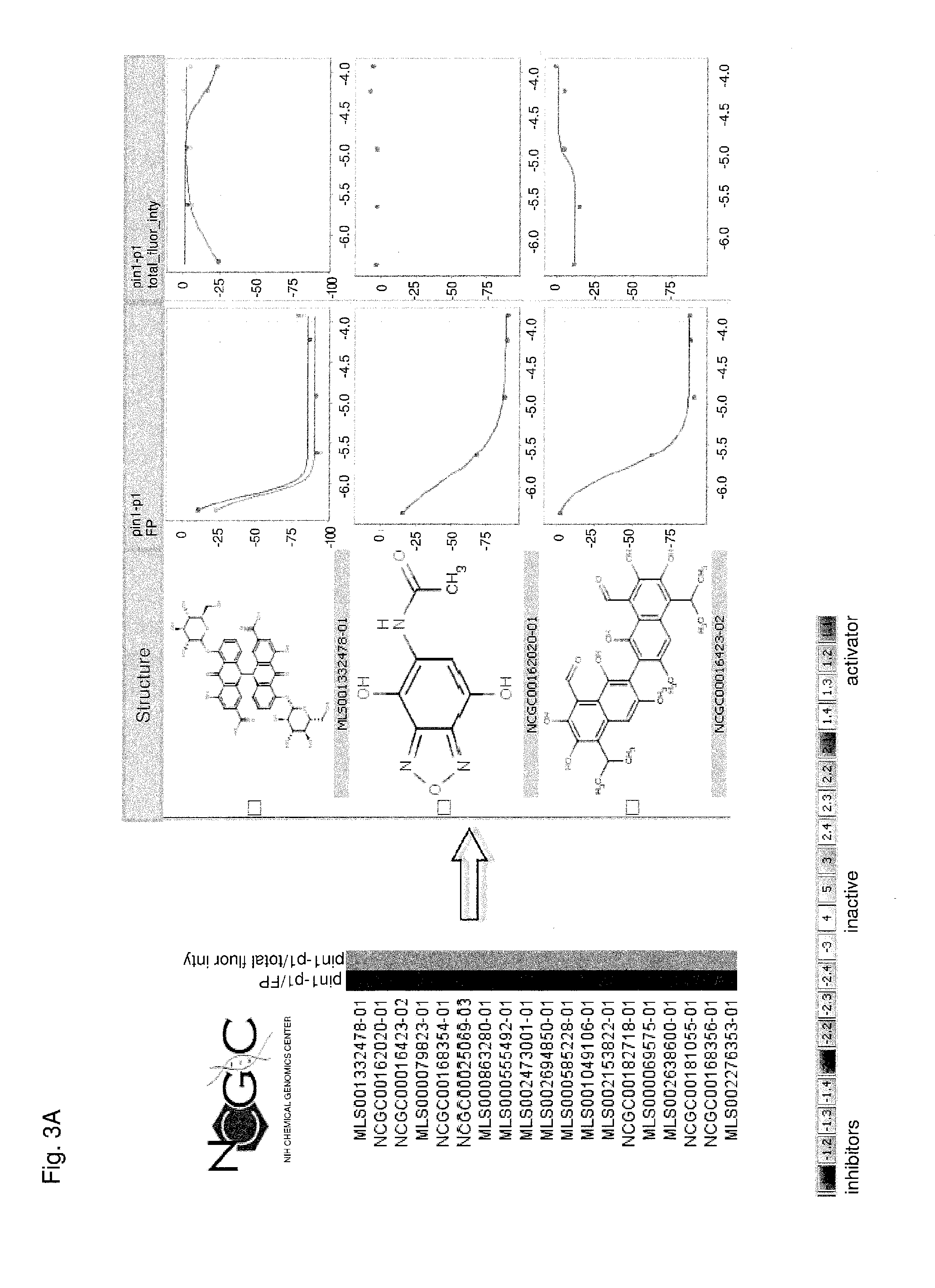 Methods and compositions for the inhibition of pin1
