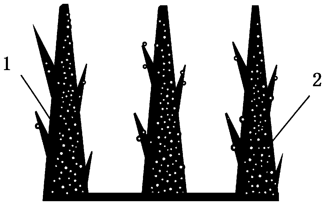 Micro-nano tree-shaped solid oxide electrolytic-cell anode and preparation method thereof