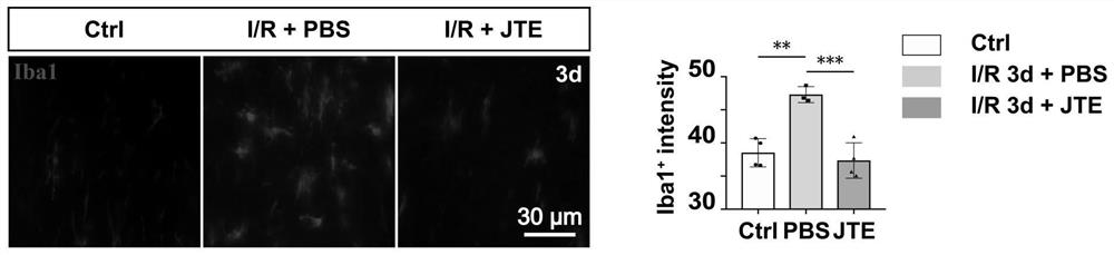 Application of JTE-013 in preparation of medicine for protecting glaucoma optic nerve injury