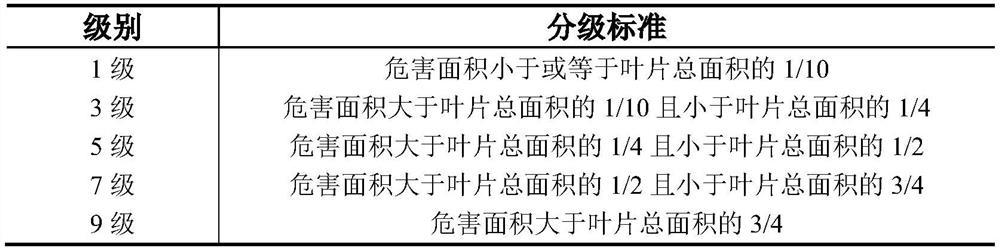 Chlorantraniliprole seed treatment agent for preventing and treating spodoptera frugiperda and preparation method thereof