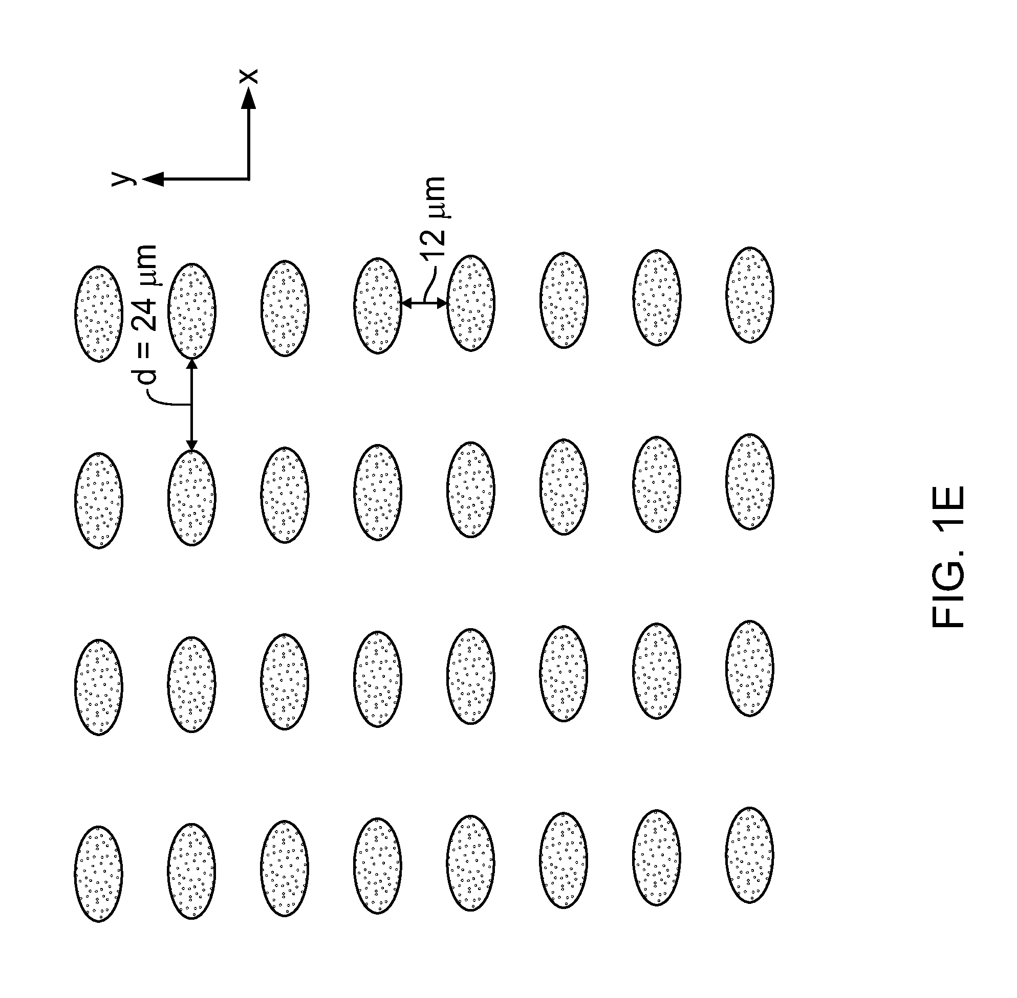 Devices and Methods for Enrichment and Alteration of Circulating Tumor Cells and Other Particles