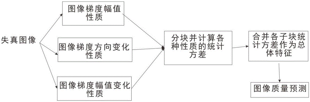 A No-Reference Image Quality Assessment Method Based on Gradient Correlation