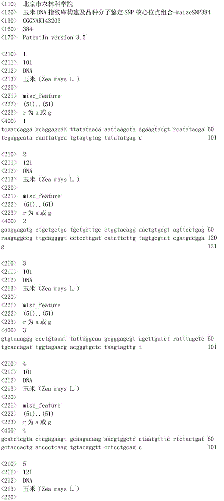 Maize dna fingerprint library construction and variety molecular identification SNP core site combination-maizesnp384