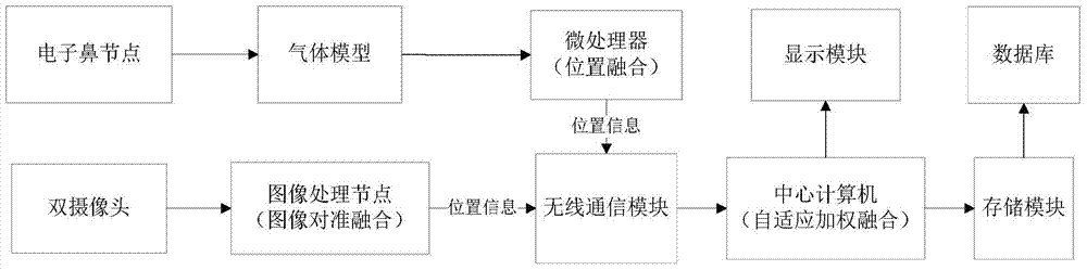 A Fusion Positioning Technology Based on Binocular Recognition and Electronic Nose Network Gas Detection