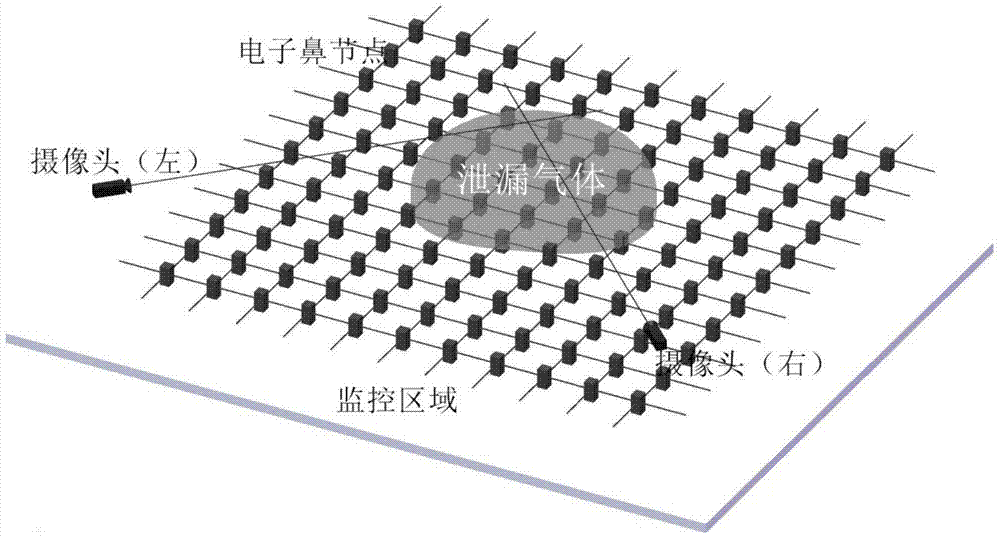 A Fusion Positioning Technology Based on Binocular Recognition and Electronic Nose Network Gas Detection