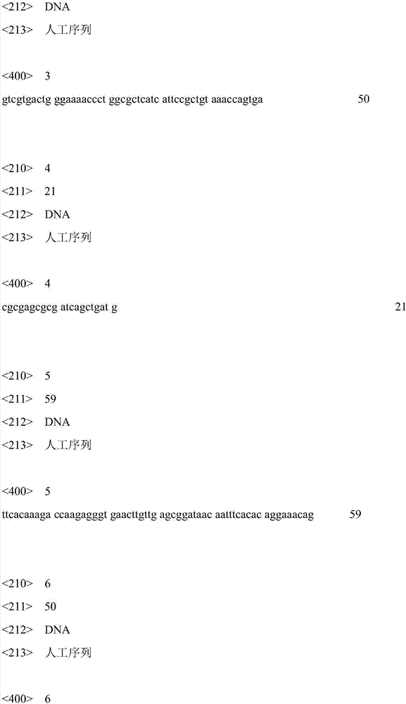 A method for knocking out argcjbd to improve the production of acetylglucosamine in recombinant Bacillus subtilis