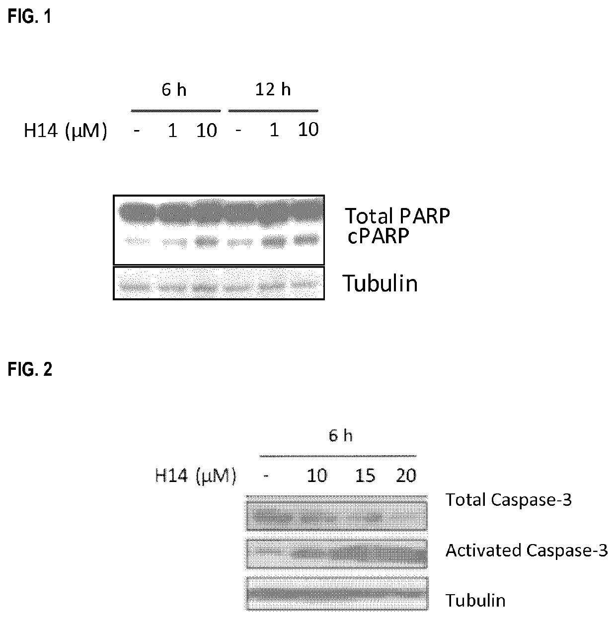 Anticancer peptides